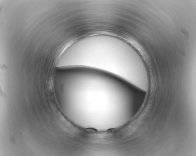 X0000091351193200708101031
