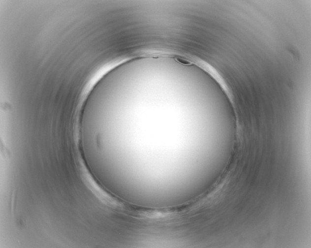 X0000091351195200708101031