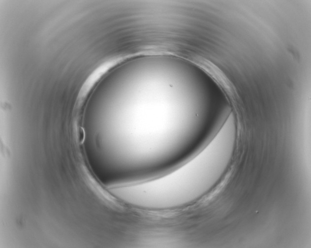 X0000091351196200708101031