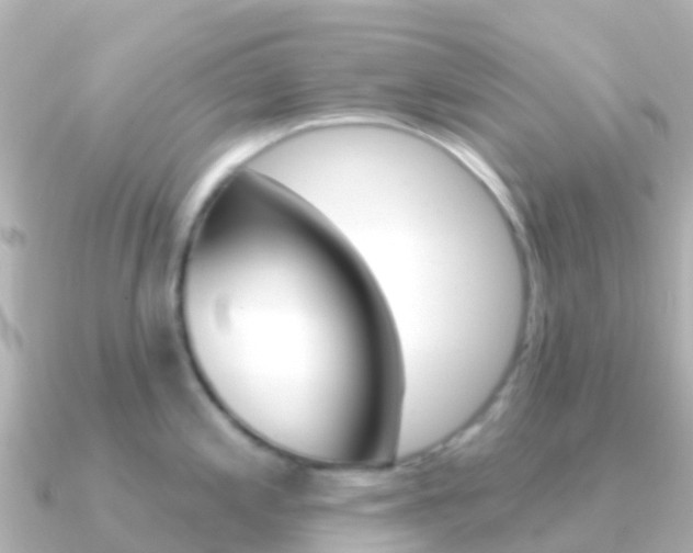 X0000091351197200708101031