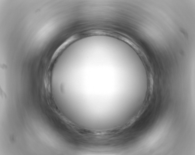 X0000091351198200708101031
