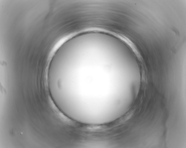 X0000091351199200708101031