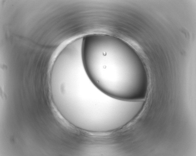 X0000091351200200708101031