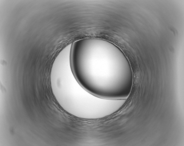 X0000091351202200708101031