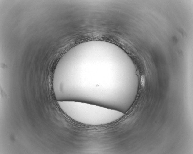 X0000091351203200708101031