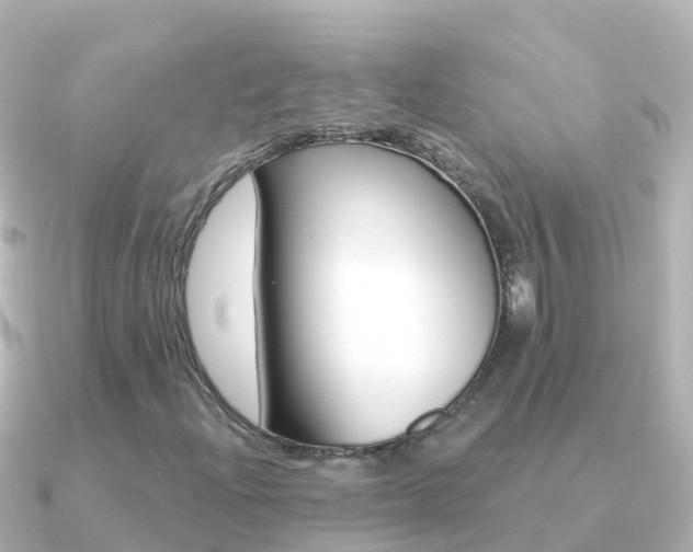 X0000091351204200708101031