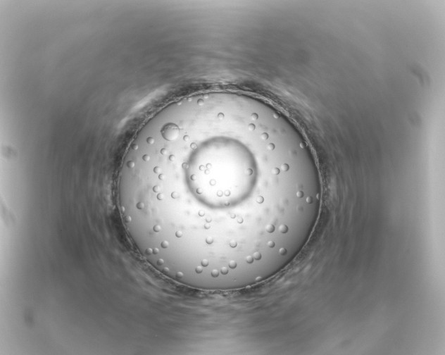 X0000091351205200708101031