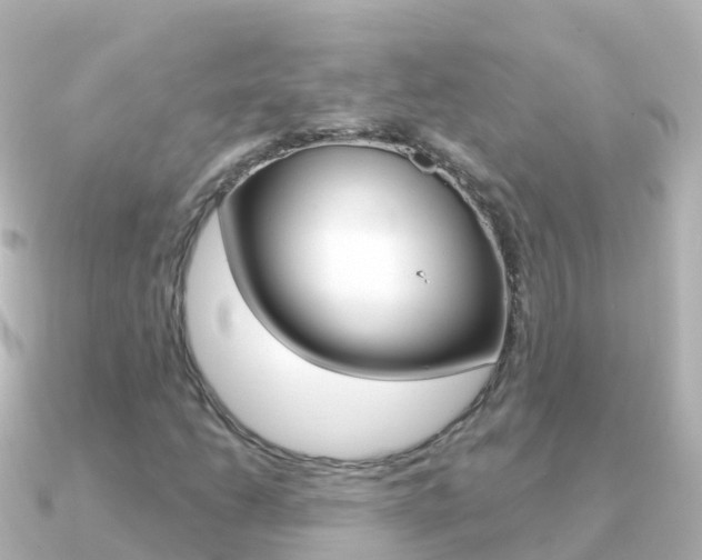 X0000091351206200708101031
