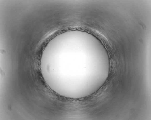 X0000091351207200708101031