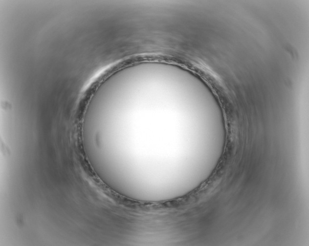 X0000091351208200708101031