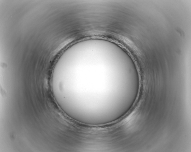 X0000091351209200708101031