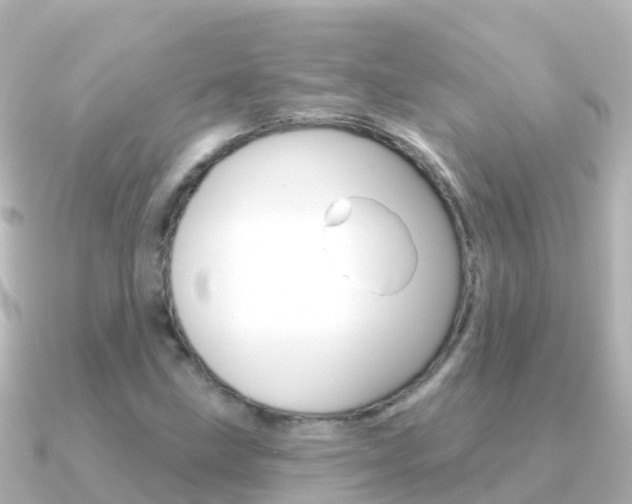 X0000091351211200708101031
