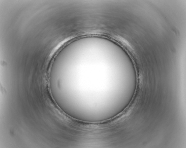X0000091351212200708101031