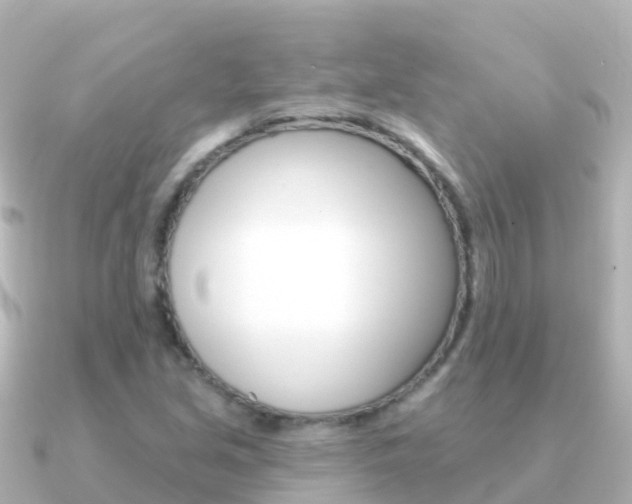 X0000091351213200708101031
