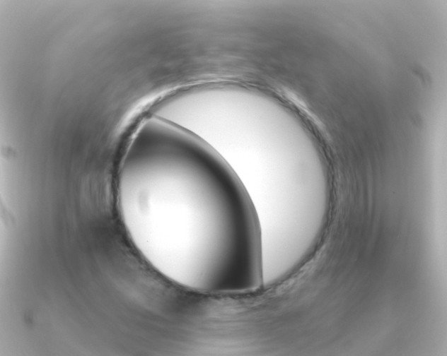 X0000091351214200708101031
