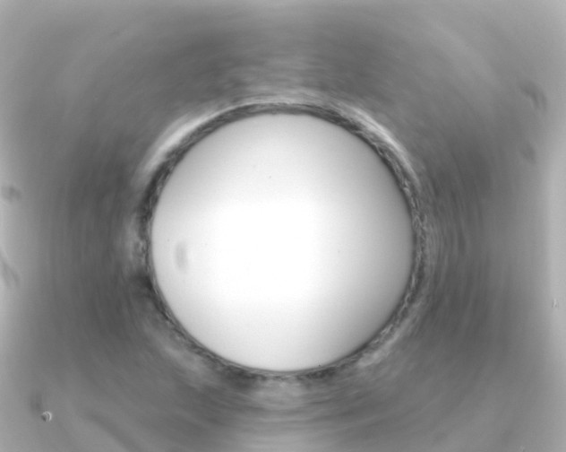 X0000091351215200708101031