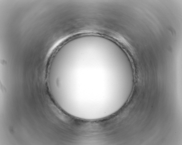 X0000091351216200708101031