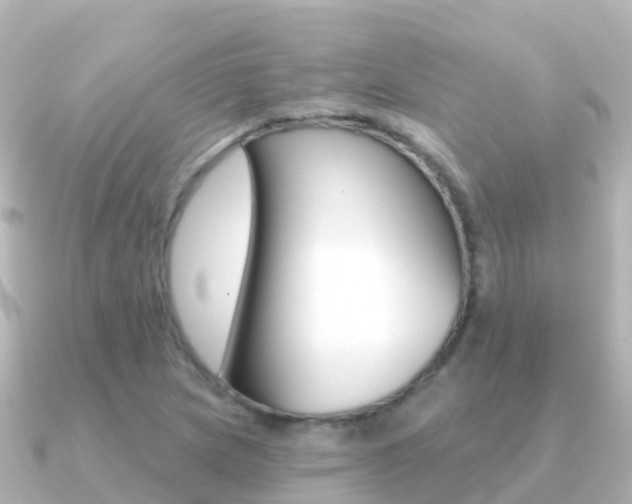 X0000091351217200708101031