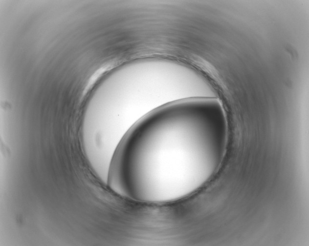 X0000091351218200708101031
