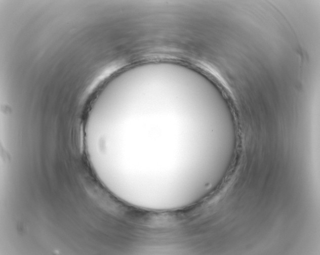 X0000091351219200708101031