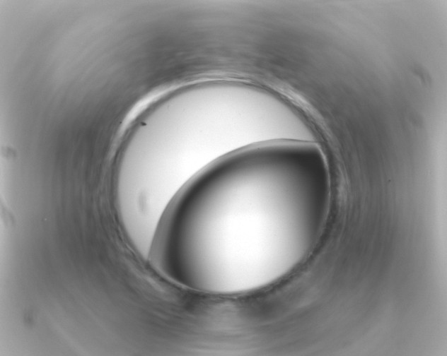 X0000091351222200708101031