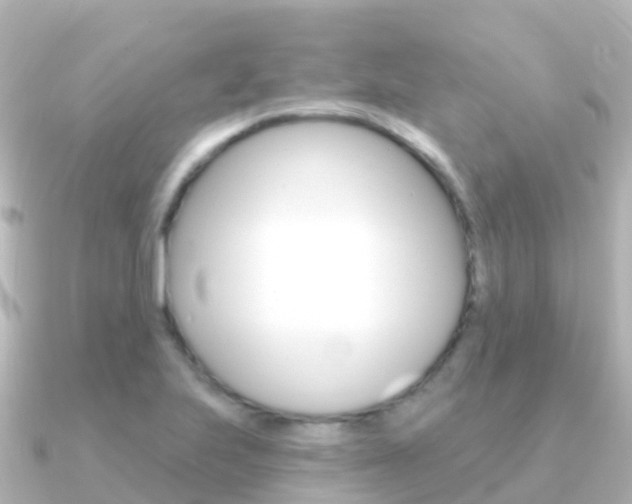X0000091351223200708101031