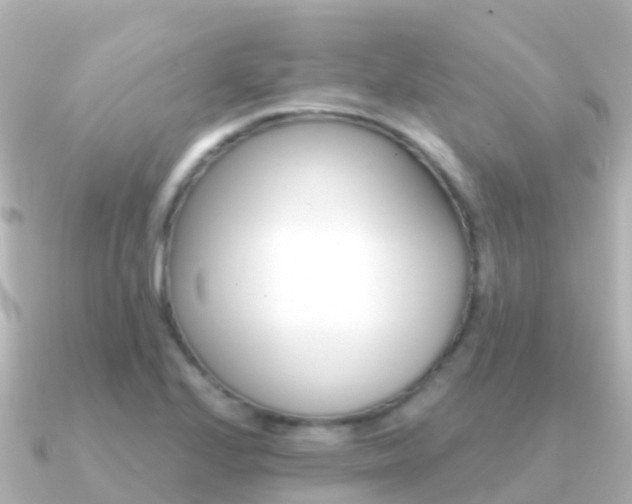 X0000091351224200708101031