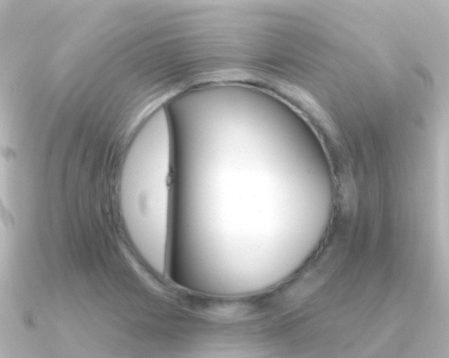 X0000091351225200708101031