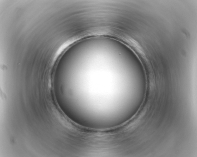 X0000091351226200708101031