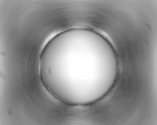 X0000091351227200708101031