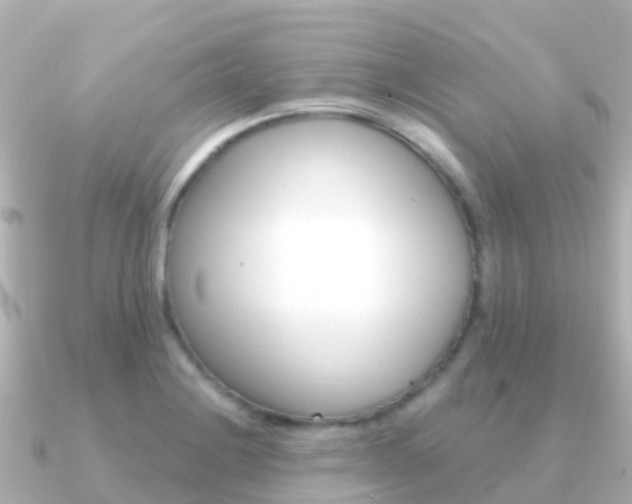 X0000091351228200708101031
