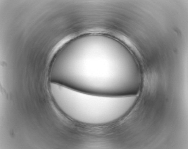 X0000091351229200708101031