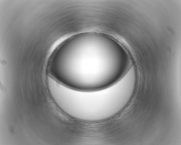 X0000091351230200708101031