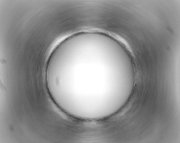 X0000091351231200708101031