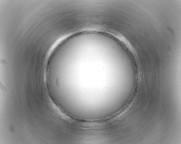 X0000091351232200708101031