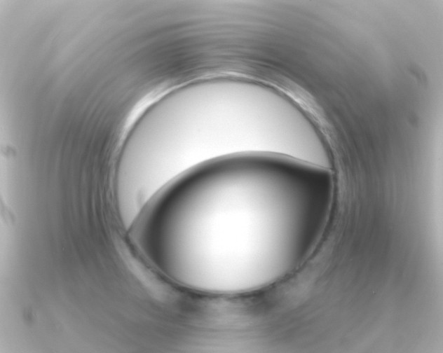 X0000091351234200708101031