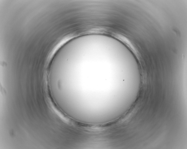 X0000091351235200708101031