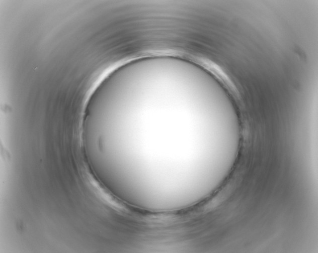 X0000091351236200708101031