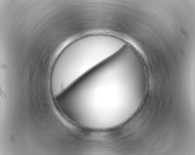 X0000091351237200708101031