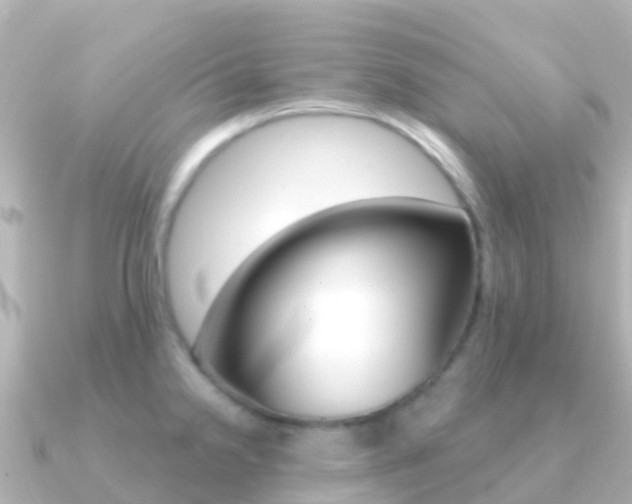 X0000091351238200708101031
