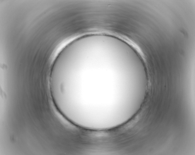 X0000091351239200708101031