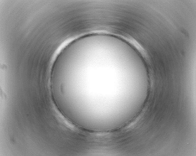 X0000091351240200708101031