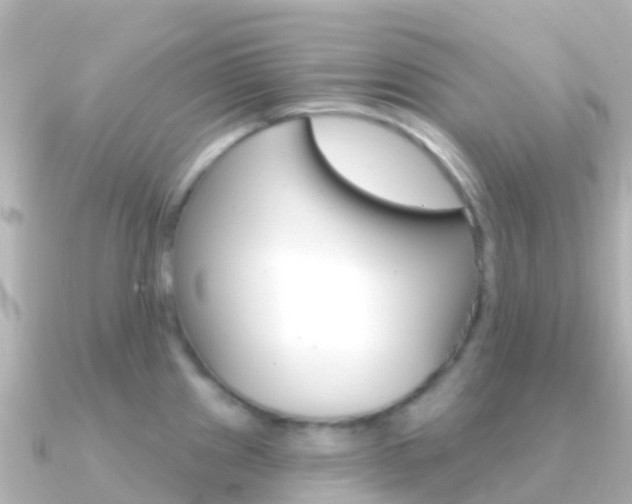 X0000091351241200708101031
