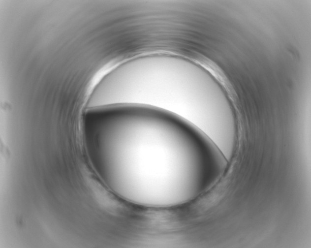 X0000091351242200708101031