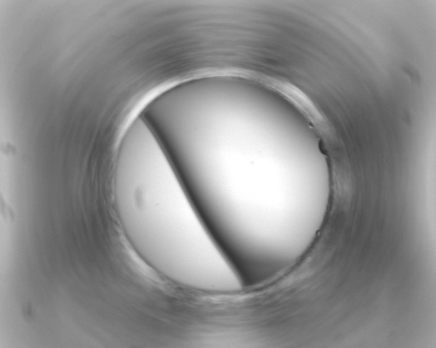 X0000091351244200708101031