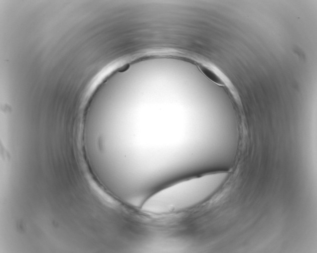 X0000091351245200708101031
