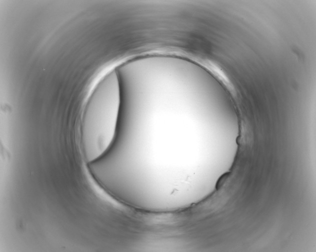 X0000091351247200708101031
