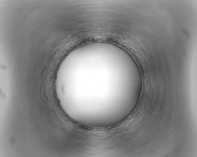 X0000091351249200708101031