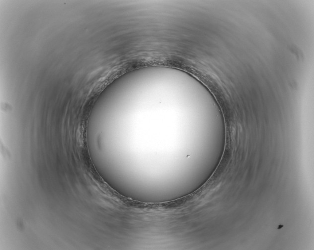 X0000091351250200708101031
