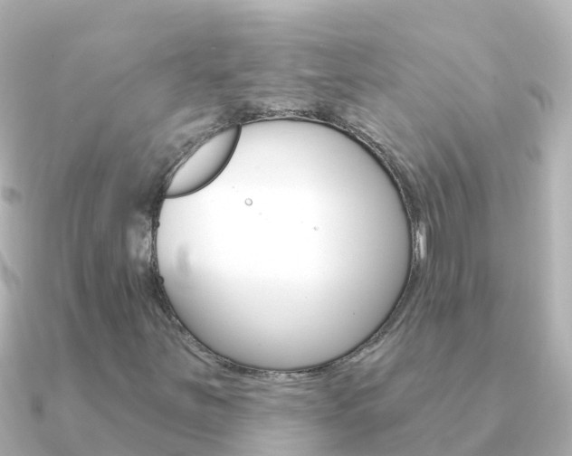 X0000091351251200708101031
